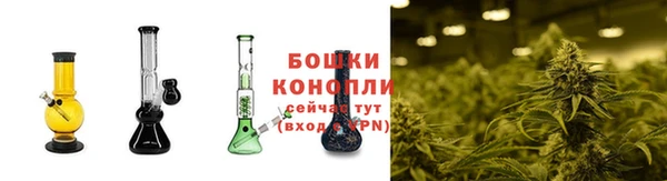 ешки Нягань