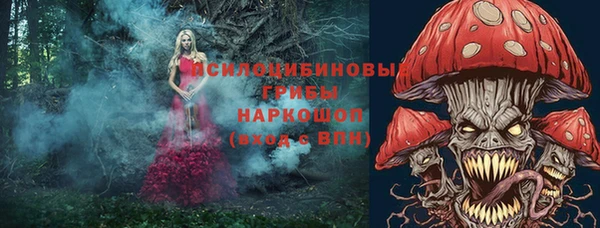 ешки Нягань