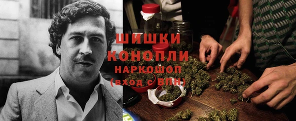 бошки Новозыбков