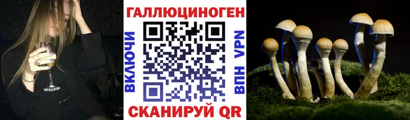 Псилоцибиновые грибы прущие грибы  хочу   Кашира 