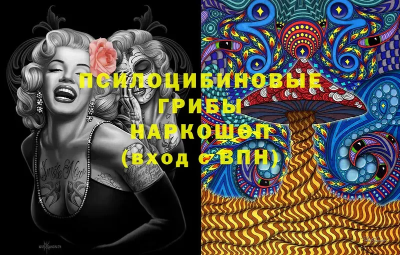 где найти наркотики  Кашира  ссылка на мегу   Псилоцибиновые грибы Cubensis 