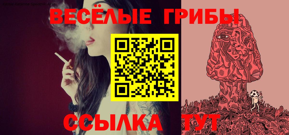Псилоцибиновые грибы прущие грибы  Галлюциногенные грибы Psilocybe  Кашира  Вход с VPN 
